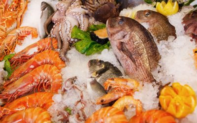 Tips Kirim Frozen Food dan Makanan Laut yang Aman
