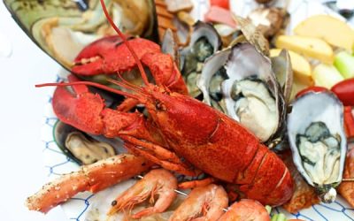 Jasa Supplier Seafood Terbaik dan Terpercaya di Indonesia