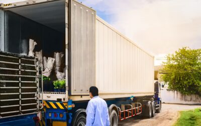 Jasa Cargo Merauke Timika Pasti Aman dan Cepat