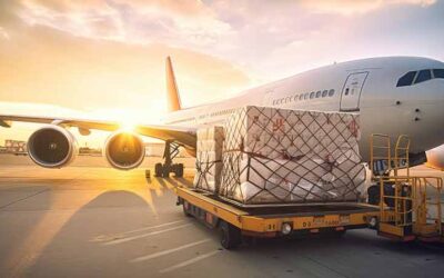 Perbedaan Layanan Cargo dan Reguler dalam Pengiriman